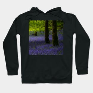 Bluebells in Knockmany Forest Hoodie